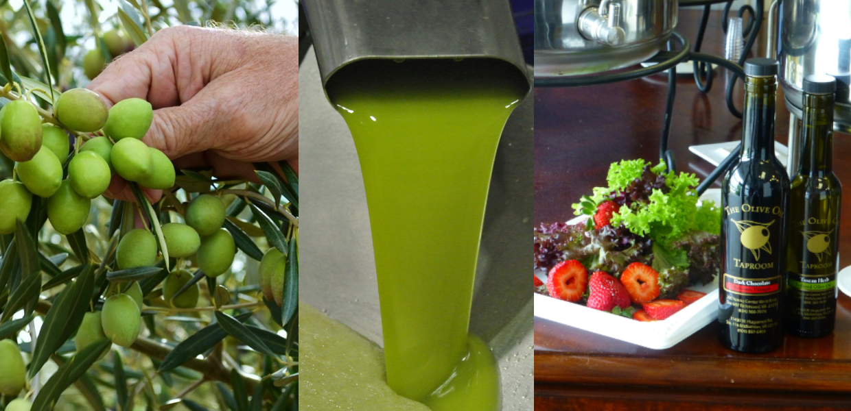 from tree, to crush, to you